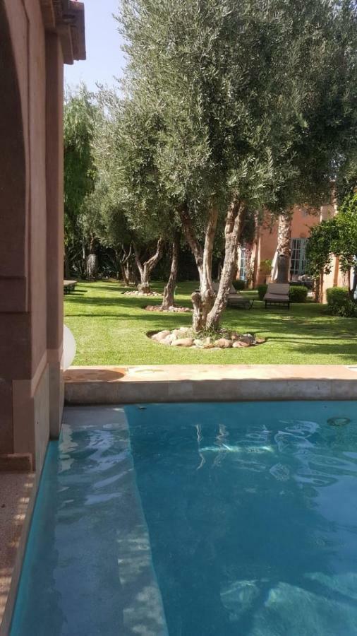 Akhdar Numéro 4 *
